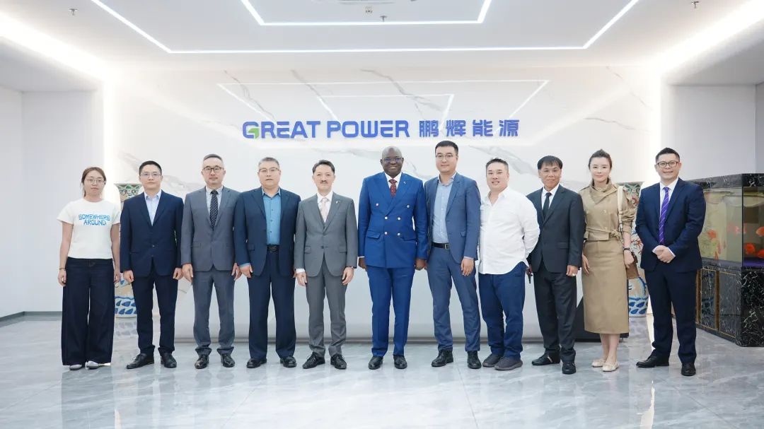 岡比亞共和國駐華大使到訪鵬輝能源，共商西非光儲項目合作